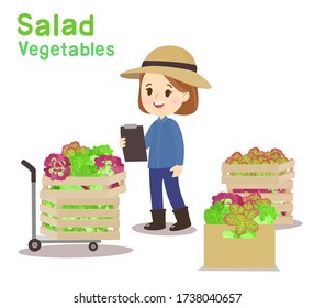Funny Farmer and Salad Vegetable Vector