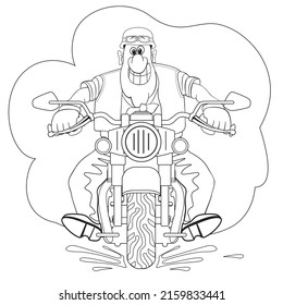 funny fat biker with teeth grin rushes on a motorcycle, cartoon, outline, on a white background