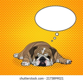 Un gracioso Bulldog inglés moreno gordo yace en el suelo y es triste. Nube vacía. Ilustración del vector, EPS 10. Concepto de descanso, pereza, vacaciones, fin de semana. Rompecabezas de perro, fondo cómico, espacio de copia y texto