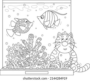 Gato graso gracioso observando de cerca peces tropicales nadando en un acuario doméstico con corales, ilustración de vector de contorno negro y blanco para una página de libro de colorido