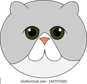 Funny fat cat, illustration, vector on white background.