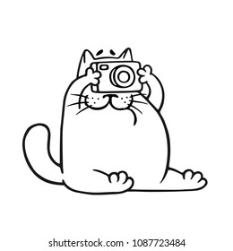 Funny fat cat photographer. Vector illustration. Pet character.