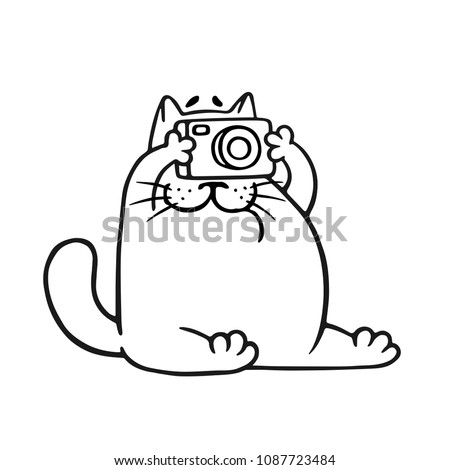 Funny fat cat photographer. Vector illustration. Pet character.