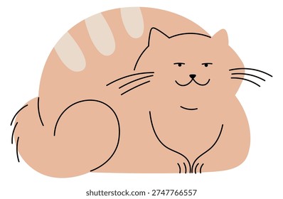 Funny fat cat. Relaxed cat sitting pose