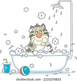 Gato graso gracioso relajándose, lavándose y salpicando con espuma de champú en un baño de burbujas, ilustración vectorial de dibujos aislados en un fondo blanco