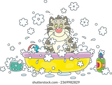 Funny fat cat relaxing and washing in a bubble bath with foam