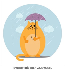 Funny fat cat under a small umbrella in a flat style. Fall autumn cold time.