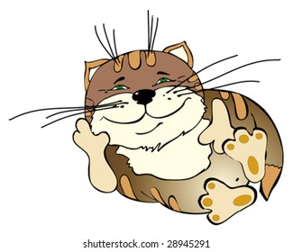 funny fat cat vector