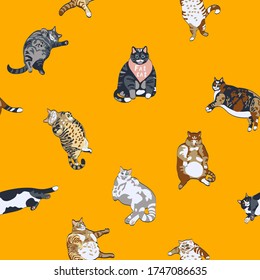 Funny fat cat vector illustration, pattern