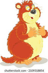 Funny fat groundhog with chubby cheeks standing on hind legs, vector cartoon illustration isolated on a white background