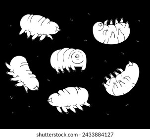 Funny fat tardigrades fly on a black background. Vector black and white illustration.