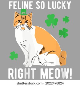 funny feline so lucky right meow st patricks day design vector illustration for use in design and print wall art poster canvas