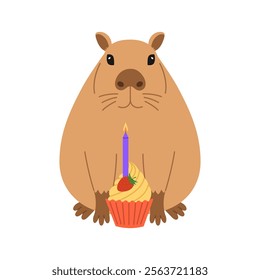 Funny festive capybara sits with cupcake with candle. Cute capibara for holiday greeting card, invitation, banner. Birthday character. Vector flat illustration isolated on white background