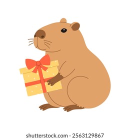 Funny festive capybara sits with gift box. Cute capibara with present for holiday greeting card, invitation, banner. Birthday character. Vector flat illustration isolated on white background