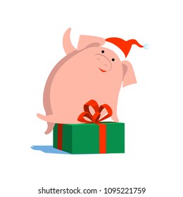 Funny festive vector pig, symbol of Chinese new year, Christmas, with gift, in Christmas clothes, hat on white isolated background