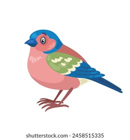  Funny finch bird. In cartoon style. Isolated on white background. Vector flat illustration.