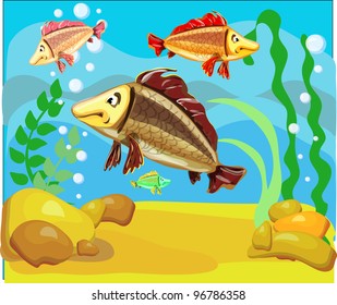 funny fish swim in water