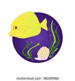 Funny fish zebrasoma