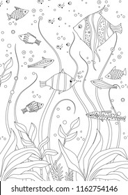 funny fishes and seaweed for your coloring book