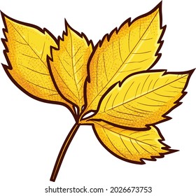 Funny cinco hojas de otoño amarillo claro al estilo doodle