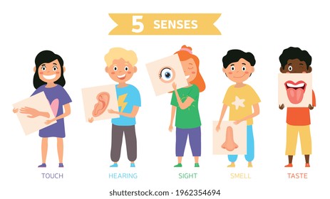 Funny five Senses concept with human organs. Flat cartoon vector illustration. Set of funny multiracial kids characters isolated on white background