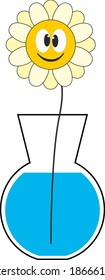 funny flower chamomile in vase