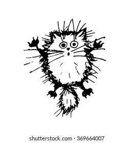 Funny fluffy cat, sketch for your design