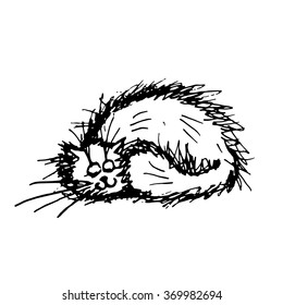 Funny fluffy cat, sketch for your design