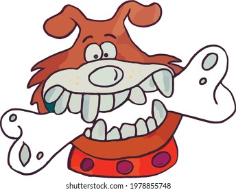 funny and fluffy dog holds a bone in his teeth