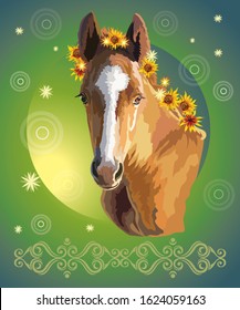 Funny foal, vector colorful realistic illustration. Portrait of bay little horse with sunflowers in mane isolated on green gradient background. Image for art and design 