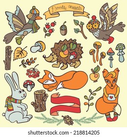 Funny forest animal and floral element. Hedgehog,hare,fox,bird,owl ,berries,mushrooms,wood,ribbon,branches,acorn,wood. Funny forest autumn set for design template.Vector