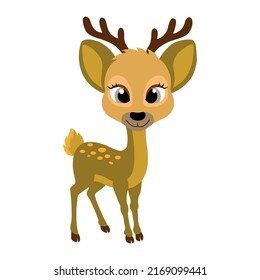 Funny forest animals. deer bear, moose, raccoon, squirrel, deer, ferret, fly agaric, acorn or mushrooms and leaves. Set of woodland animals isolated on white background, Deer illustration.