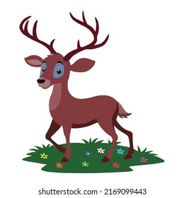 Funny forest animals. deer bear, moose, raccoon, squirrel, deer, ferret, fly agaric, acorn or mushrooms and leaves. Set of woodland animals isolated on white background, Deer illustration.