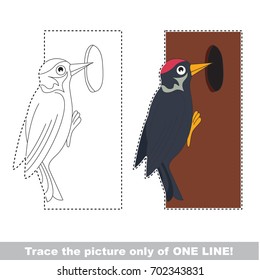 Funny Forest Bird - Woodpecker to be traced only of one line, the tracing educational game to preschool kids with easy game level, the colorful and colorless version.