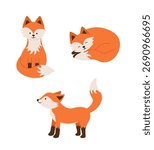Funny fox characters in different poses. Vector illustration, a set of forest fox cubs icons.