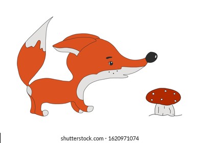 funny Fox Cub sniffs a forest mushroom . vector illustration in the flat design style. isolated on a white background