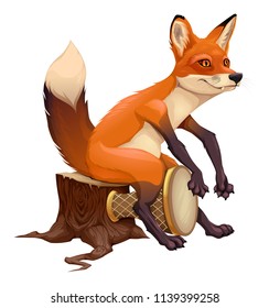 Funny fox is playing with the drum. Vector isolated cartoon character
