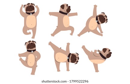 Funny French Bulldog Doing Sports Set, Cute Dog Performing Different Yoga Poses Cartoon Style Vector Illustration