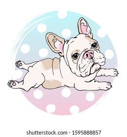 Funny french bulldog on a cute background