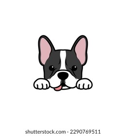 Funny french bulldog puppy cartoon isolated on a white background, vector illustration