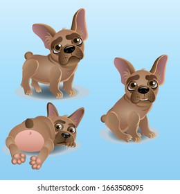 Funny french bulldog, three different poses