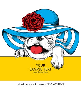 Funny French Bulldogs portrait in a blue summer hat with knitted flower on yellow background. Vector illustration.