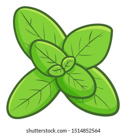 Funny and fresh mint leaves for your cooking activities