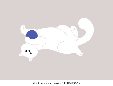 Funny friendly cat playing with a ball, adorable pets