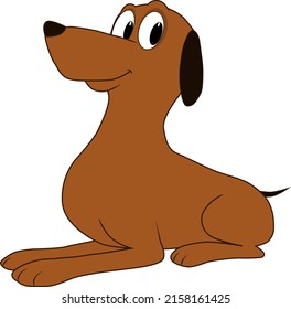 A funny and friendly dog is waiting for his friend