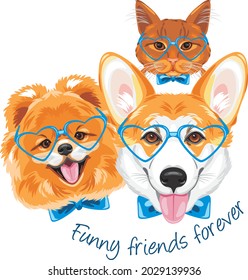 Funny friends forever. Ginger cat, welsh corgi and Pomeranian dog. Vector