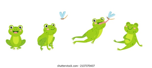 Funny frog. Animal jump to eat fly insect. Green cartoon isolated frogs, wildlife rules. Neoteric water swamp toad hunting and eating, catch with tongue vector scene