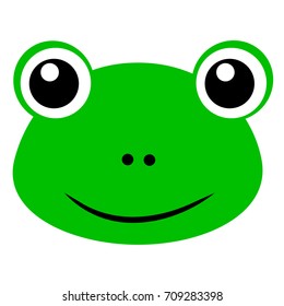Funny Frog Face, Isolated on White
