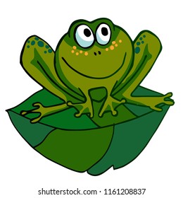 Funny frog on the leaf