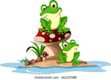 Funny frog sitting on mushroom